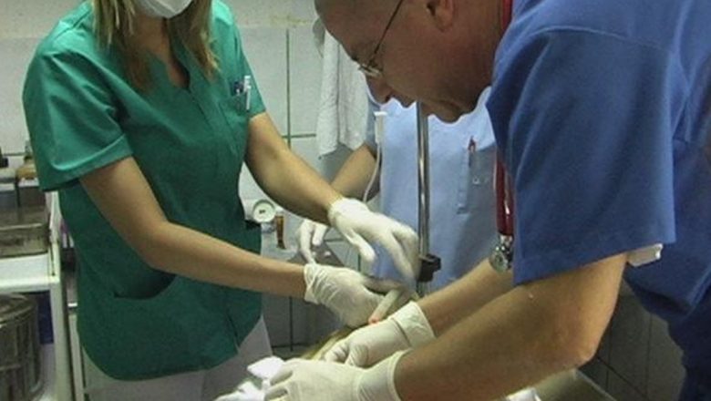 Febra Q: O Boală Zoonotică În Creștere și Implicațiile Sale în România