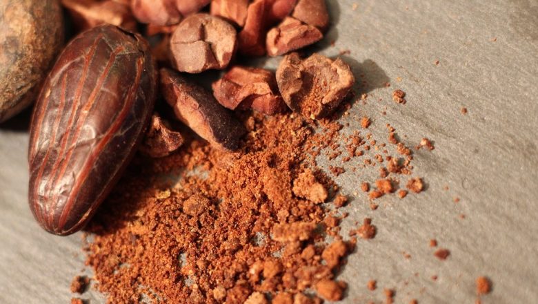 Beneficiile pudrei de cacao: cum flavonoizii contribuie la sănătatea memoriei