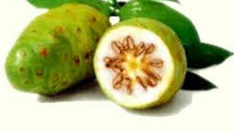 Fructele de Noni: Un Remediu Antic pentru Bolile Sezonului Rece