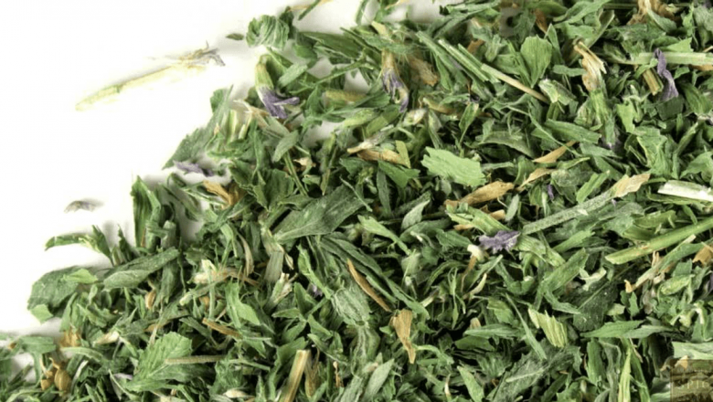 Lucerna: O Plantă Medicinală cu Beneficii Surprinzătoare pentru Sănătate