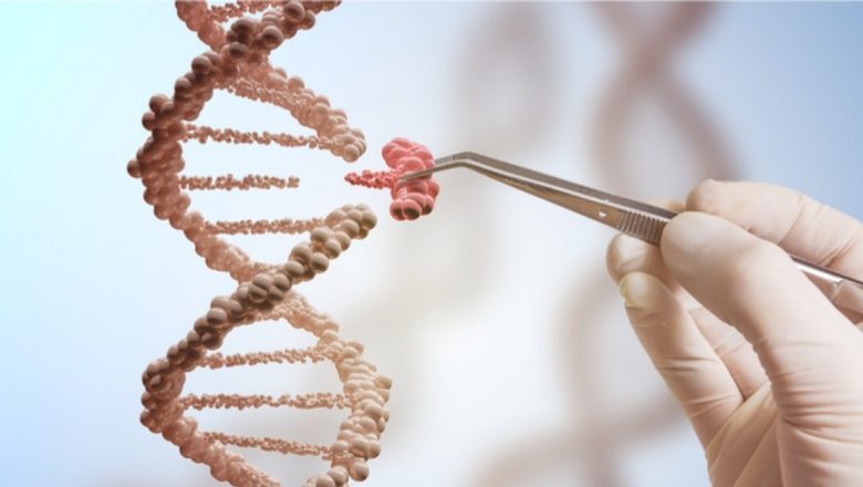 Progeria: Înțelegerea unei boli rare de îmbătrânire prematură și impactul acesteia asupra vieții pacienților