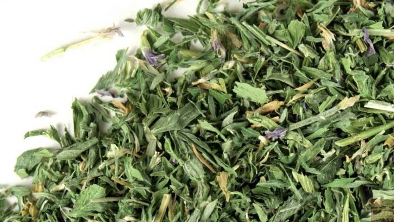 Lucerna: Plantele cu Puteri Terapeutice Ascunse