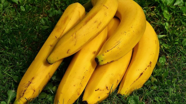 Strategii Eficiente pentru Îmbunătățirea Memoriei: 7 Remedii Naturale Recomandate de Experți