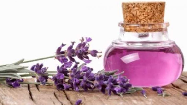 Uleiurile Esențiale: O Lumină în Vremea Sărbătorilor – Relaxare și Magie Aromatică