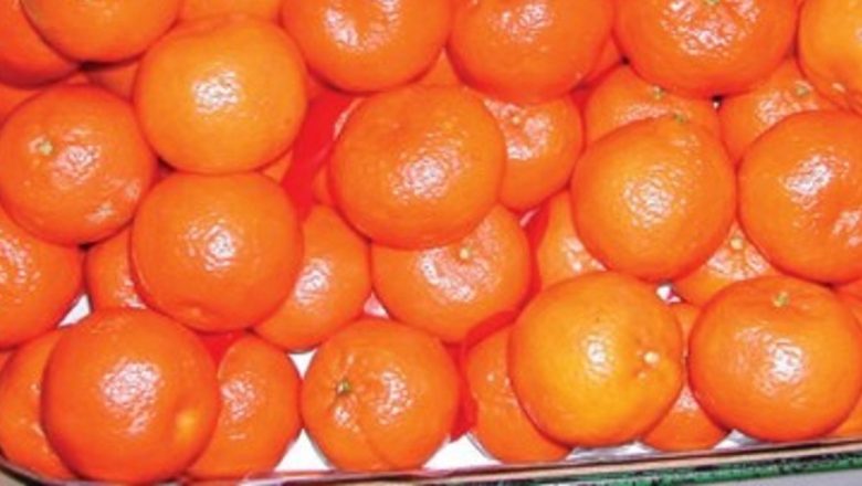 Beneficiile clementinelor: O analiză detaliată a efectelor asupra sănătății