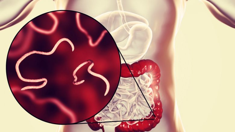Cum să Identifici Paraziții Intestinali: Semne, Simptome și Implicații pentru Sănătate