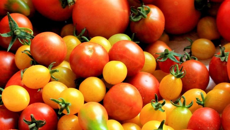 Beneficiile surprinzătoare ale roșiilor: De ce ar trebui să le includem în dieta noastră zilnică
