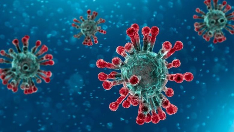 Pregătirea României în Fața Provocării Noului Coronavirus: O Analiză Detaliată