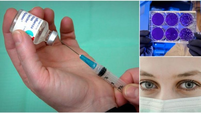 Diferențele Esențiale între Simptomele COVID-19 și Cele ale Virusului Gripal: O Analiză Detaliată