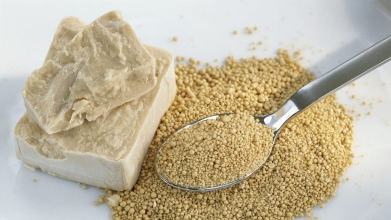 Drojdia de bere: O fabrică de medicamente pentru sănătate în timpul epidemiilor
