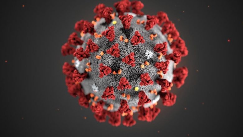 Noul Coronavirus și Recomandările OMS: Ghidul Esențial pentru Călătorii Internaționali în Timp de Pandemie