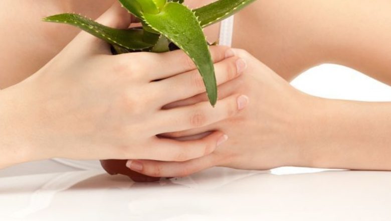 Antiriduri naturale: Soluții eficiente din natură pentru o piele tânără