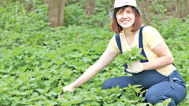 Urzica: Leacuri Naturiste și Beneficiile Lor pentru Sănătate
