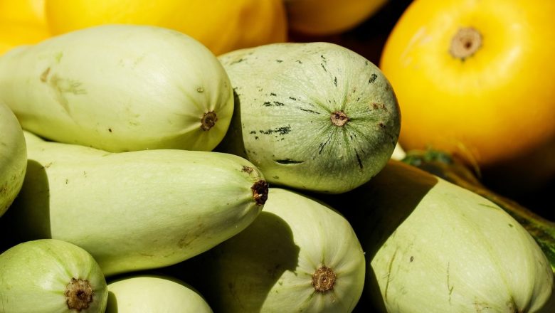 Beneficiile Dovleceilor: Cum Dieta Bogată în Betacaroten Poate Preveni Cataracta