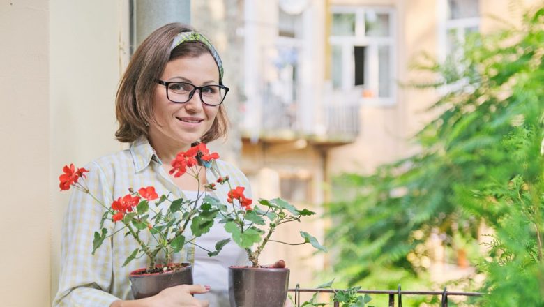 Muşcata: Planta cu Beneficii Terapeutice Remarcabile și Utilizări în Medicină Alternativă