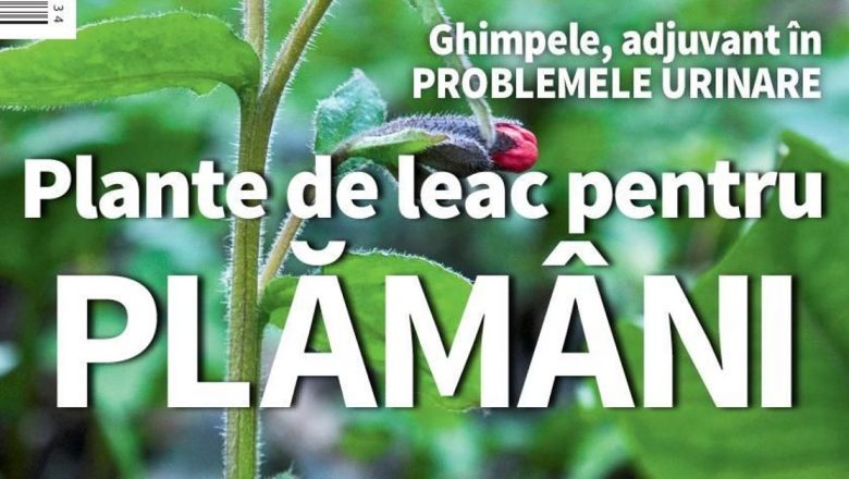 Revista Click! Sănătate Revine: O Resursă Vitală în Timpuri de Criză Sanitară