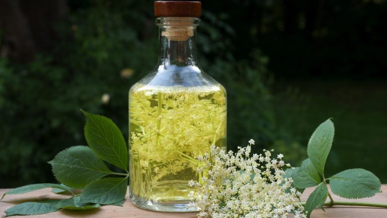 Beneficiile Socului: De la Tratament Natural la Deliciu Răcoritor – Tot Ce Trebuie Să Știi Despre Socată