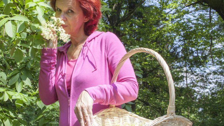 Descoperirea leacurilor naturiste cu flori de soc: Tradiție, beneficii și utilizări terapeutice