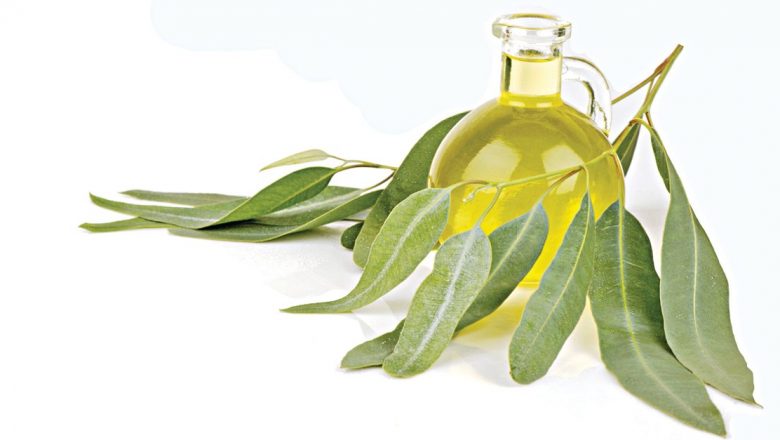Beneficiile Uleiului de Eucalipt: Un Remediu Natural pentru Anxietate și Nu Nu Numai