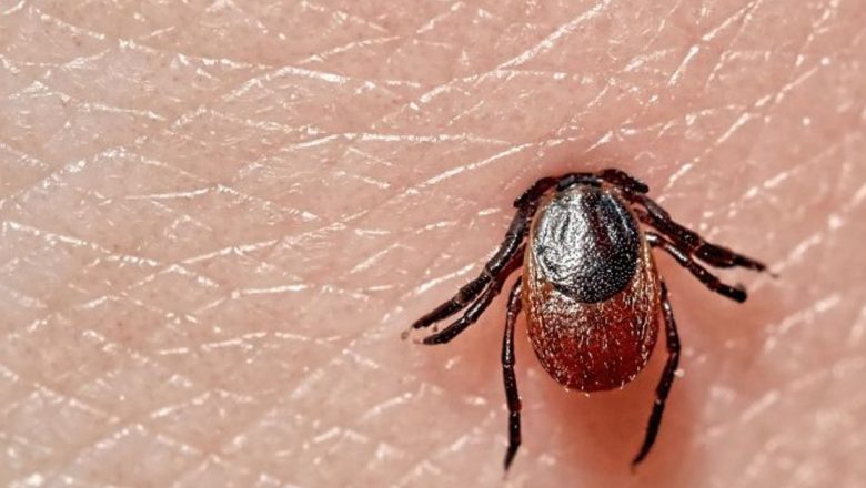 Vaccinul împotriva encefalitei de căpuşe: O necesitate în România