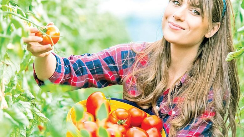 Roșiile: Superalimentele care combat kilogramele în plus și promovează sănătatea