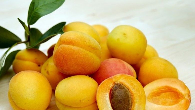 Vitaminele: Esențiale pentru Sănătate și Prevenirea Bolilor