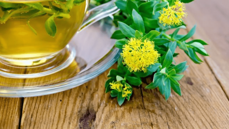 Rhodiola Rosea: O Plante Adaptogenă cu Beneficii Remarcabile pentru Sănătate