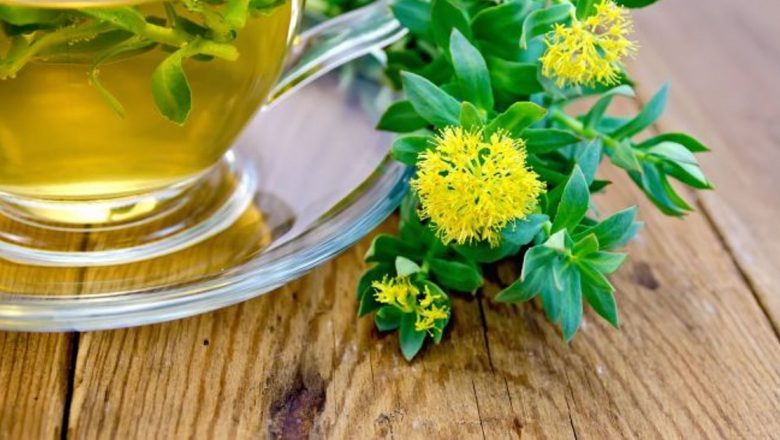 Rhodiola Rosea: Planta Adaptogenă cu Beneficii Remarcabile pentru Sănătate