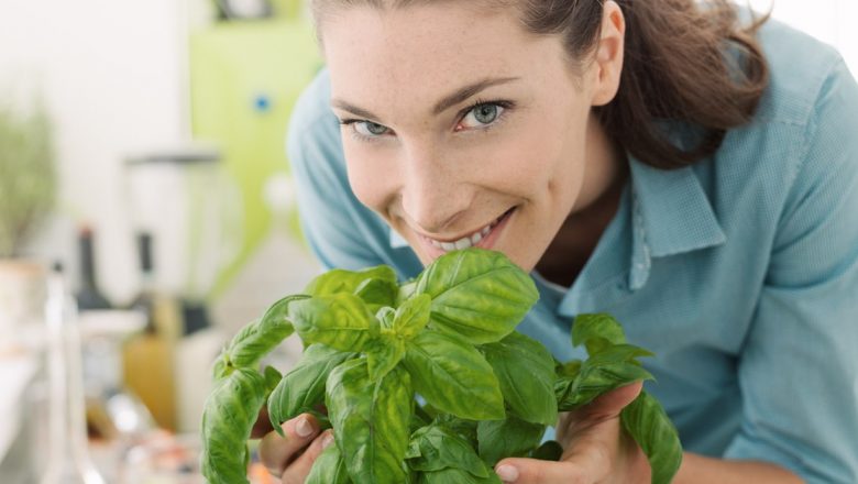 Plantele care pot ajuta la controlul tensiunii arteriale: o analiză detaliată