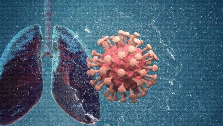 Impactul Noului Coronavirus Asupra Organismului Uman: O Analiză Detaliată