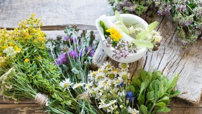 Remedii Naturiste pentru Hemoroizi: Cele Mai Eficiente 5 Plante și Modalitățile Lor de Utilizare