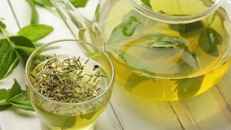 Plantele care ajută la controlul greutății: O analiză detaliată a remediilor naturale