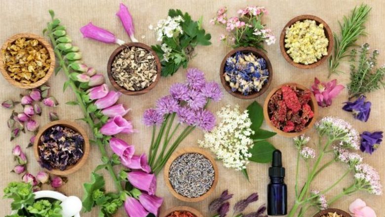 Plantele care sprijină sănătatea plămânilor: un ghid complet pentru remedii naturale
