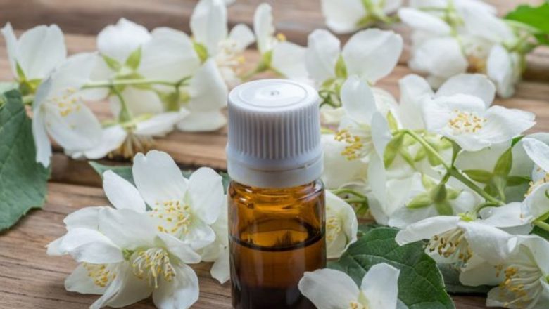 Iasomia: Regină a Florilor cu Beneficii Terapeutice Remarcabile