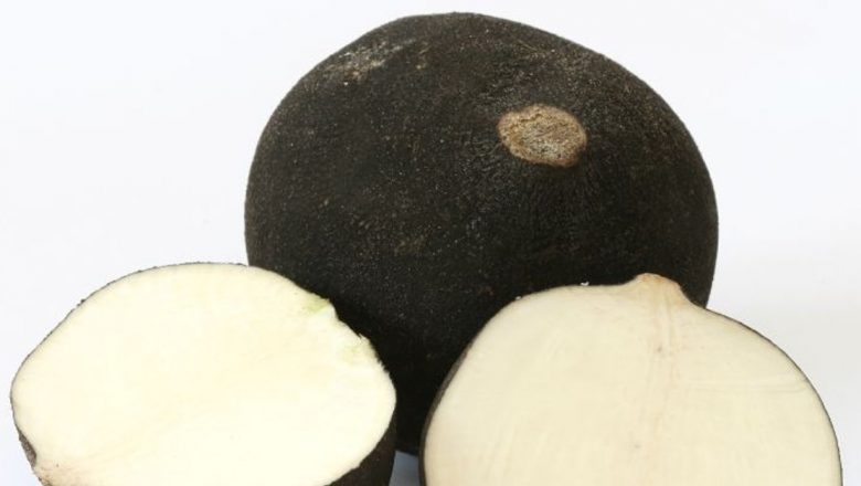 Ridichea Neagră: Superalimentul Naturii pentru Sănătate și Vindecare