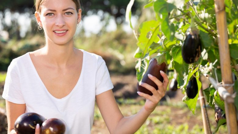De ce ar trebui să incluzi vinetele în dieta ta: 9 motive fundamentale pentru o alimentație sănătoasă
