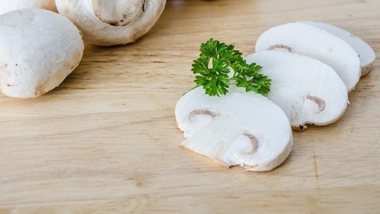 Ciupercile: O Sursă Valoroasă de Proteine pentru Vegetariani și Nu Numai