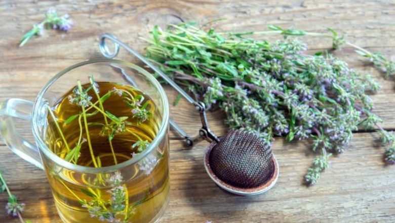 Cimbrul: Un Remediu Natural pentru Zeci de Afecțiuni – Descoperă Proprietățile Sale Medicinale și Modul de Preparare