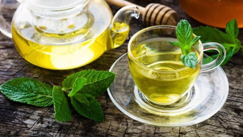 Menta: O Plante Medicinală cu Beneficii Remarcabile pentru Sănătate