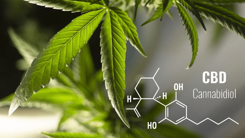 CBD: Între Beneficii și Provocări – O Analiză Detaliată a Cannabidiolului