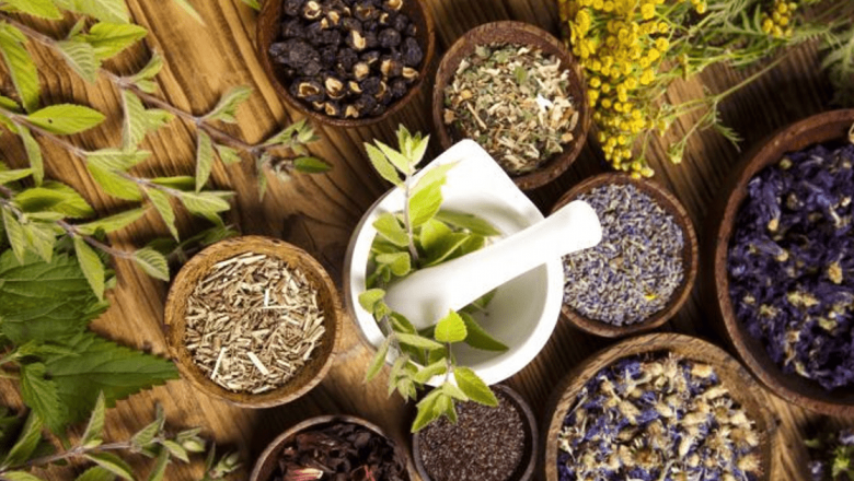 Plante Medicinale Eficiente în Combaterea Febrei: Remedii Naturale pentru Sănătatea Ta