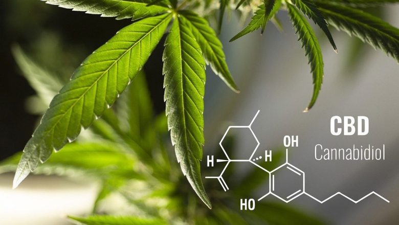 CBD: Impactul Cannabidiolului asupra Sănătății și Societății Moderne