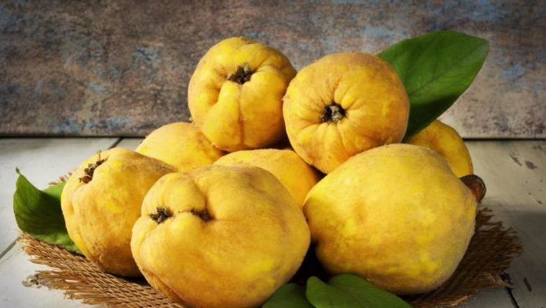 Gutuile: Fructe Aurii cu Beneficii Remarcabile pentru Sănătate