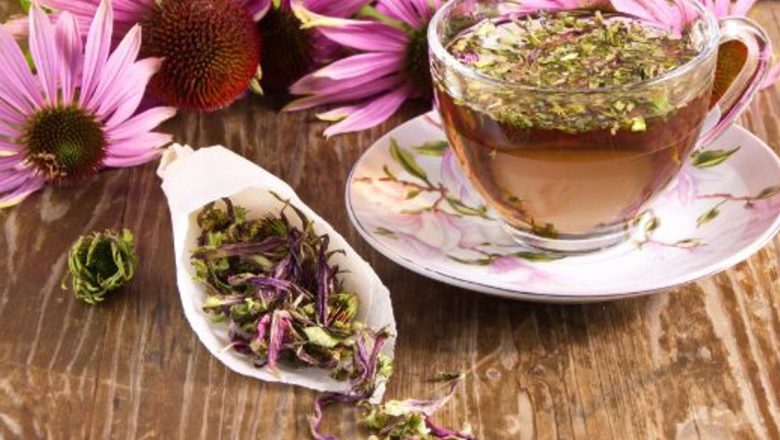 Echinacea: Planta Minune pentru Imunitate și Sănătate Generală