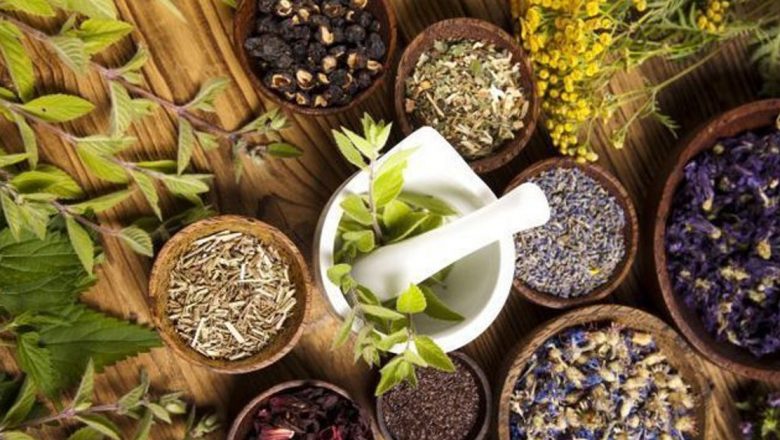 Plantele care îmbunătățesc memoria și concentrarea: Remedii naturale pentru o minte ageră