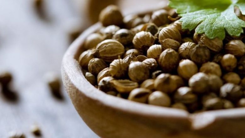 Coriandrul: Un Tonic Natural pentru Sănătate și Binele Sufletului