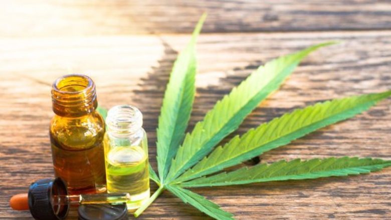 Uleiul de canabis: Beneficii terapeutice și aplicații în medicina modernă