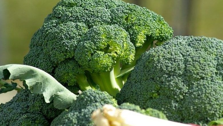Broccoli: Leguma-minune în lupta împotriva cancerului și bolilor cardiovasculare