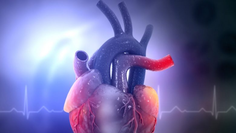 Impactul Excesului de Fier asupra Sănătății Inimii Bărbaților: O Analiză Detaliată