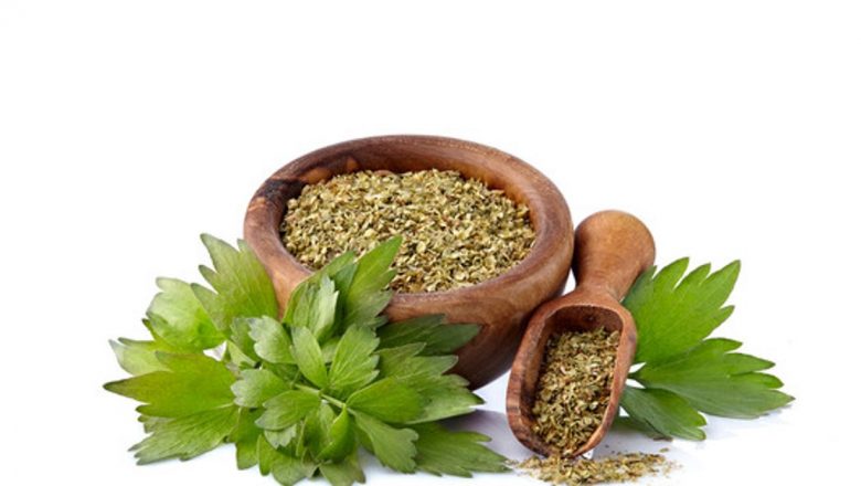 Leuşteanul: Miracolul Verde al Naturii – Beneficii, Utilizări și Implicații pentru Sănătate